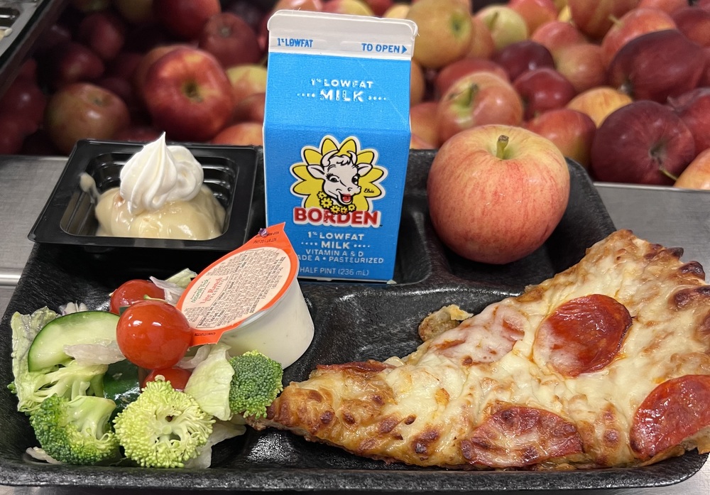 Picture of school lunch featuring pizza and salad